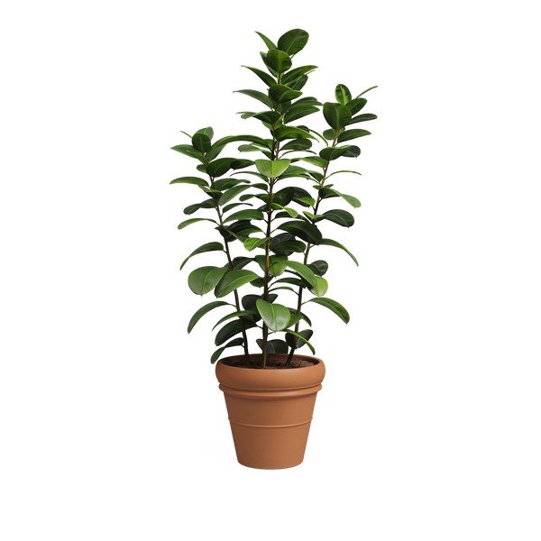 Terakotowa doniczka ø 47 cm Mariza – Artevasi-image-4