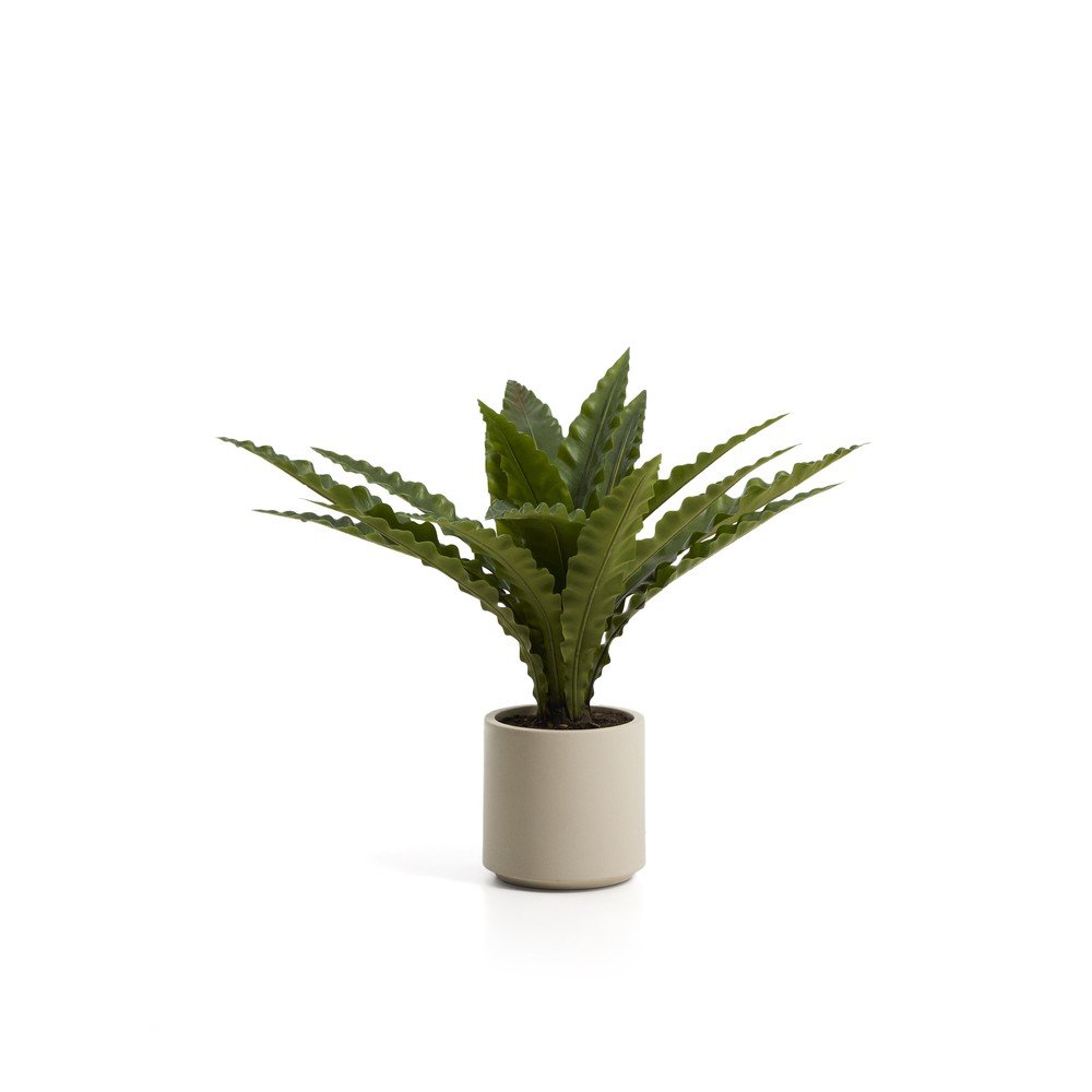 Sztuczny sukulent (wysokość 70 cm) Neottopteris – Kave Home