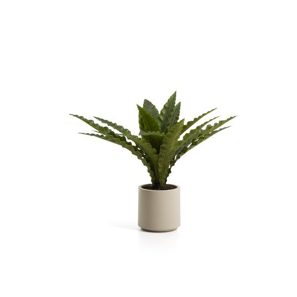 Sztuczny sukulent (wysokość 70 cm) Neottopteris – Kave Home