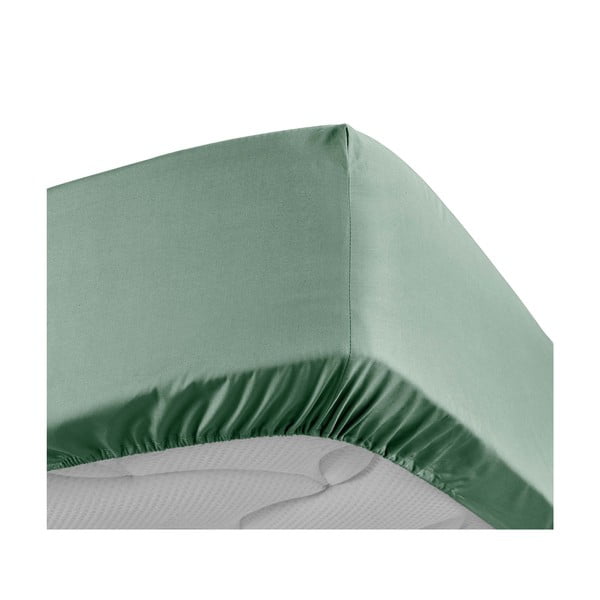 Zielone prześcieradło z perkalu bawełnianego z gumką 160x200 cm Percaline – douceur d'intérieur-image-3