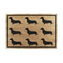 Wycieraczka z włókna kokosowego 40x60 cm Dachshund – Artsy Doormats