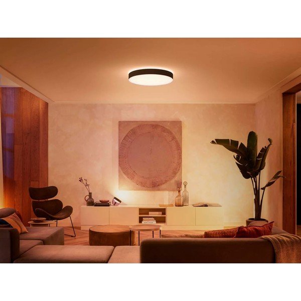 Inteligentna lampa sufitowa LED 48 W Enrave – Philips Hue-image-1