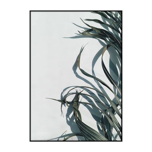 Plakat Imagioo Palm Shadows, 40x30 cm
