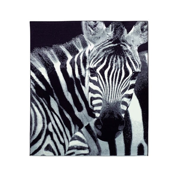 Dywan Safari - zebra, 160x225 cm
