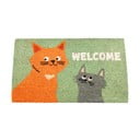 Wycieraczka z włókna kokosowego 43x73 cm Nine Lives – Rex London