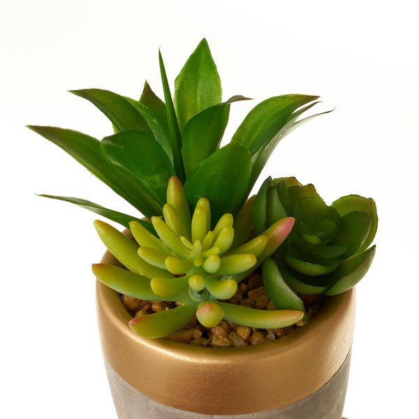 Sztuczne rośliny zestaw 4 szt. (wysokość 17 cm) Cactus – Casa Selección-image-4