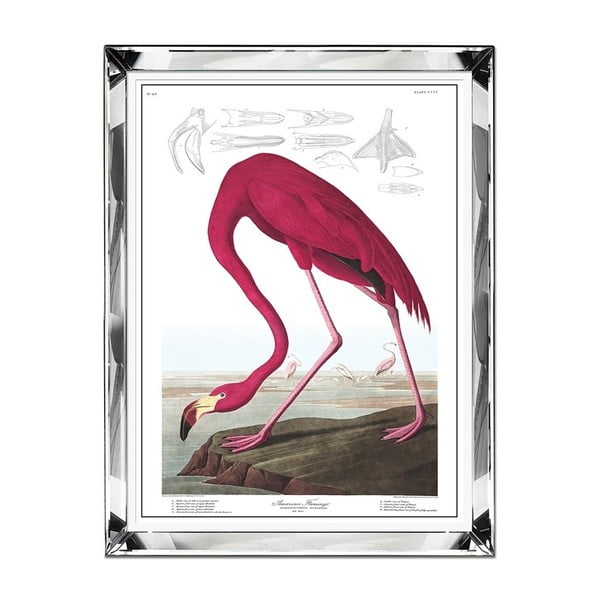 Obraz ścienny JohnsonStyle The Flamingo, 71x91 cm