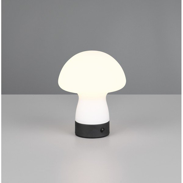 Lampa stołowa LED w matowym białym kolorze ze szklanym kloszem (wysokość 18 cm) Dooley – Reality-image-1