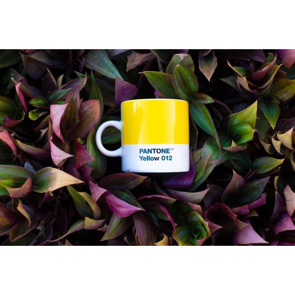 Żółta porcelanowa filiżanka na espresso 120 ml Yellow 012 – Pantone-image-1