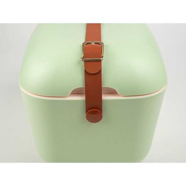 Jasnozielony pojemnik chłodzący 12 l Classic – Polarbox-image-1