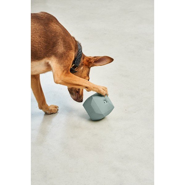 Zabawka dla psa Dado Eucalyptus – MiaCara-image-2