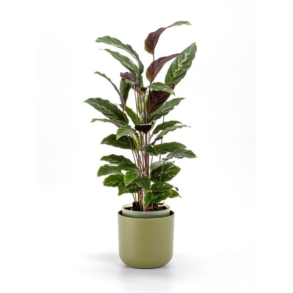 Zielona doniczka z systemem nawadniania Plastia Tolita, ø 16 cm-image-1