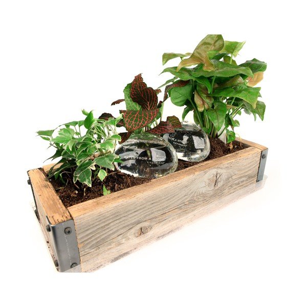 Nawilżacz glebowy Kikkerland Water From a Stone, 207 ml-image-2