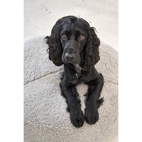 Szare legowisko dla psów z materiału bouclé ø 90 cm Senso Pouffe Pebble M/L – MiaCara-image-2