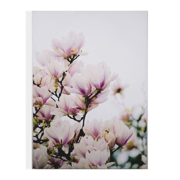 Obraz Graham & Brown Magnolia Blossoms, 50x70 cm