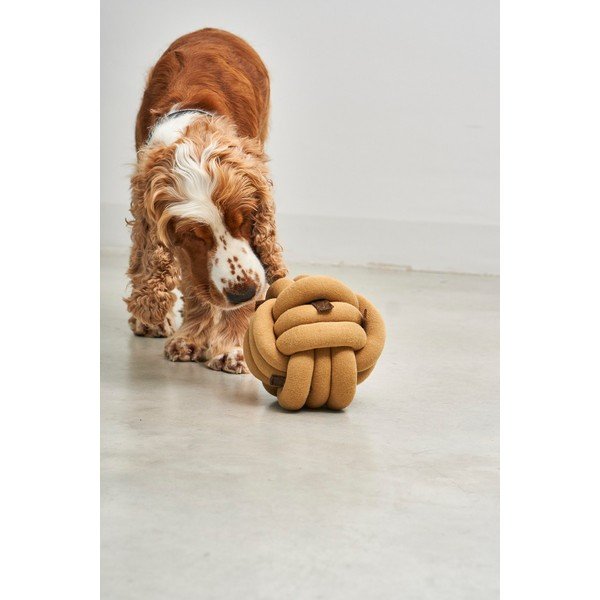 Zabawka dla psa Tubo Curry – MiaCara-image-3