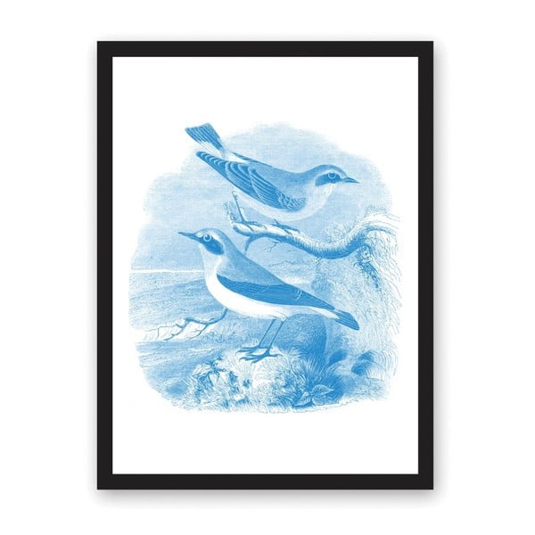Plakat Ohh Deer Sea Birds, 29,7x42 cm