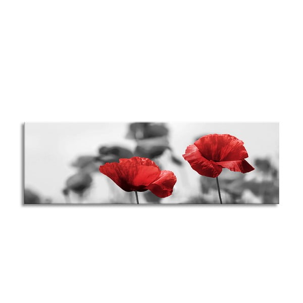 Obraz Styler Glas Red Poppy, 50x125 cm