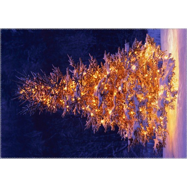 Dywan Vitaus Christmas Period Lit Up Tree Outside, 50x80 cm
