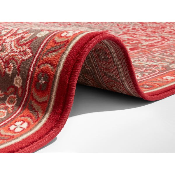Jasnoczerwony dywan Nouristan Skazar Isfahan, 160x230 cm-image-2