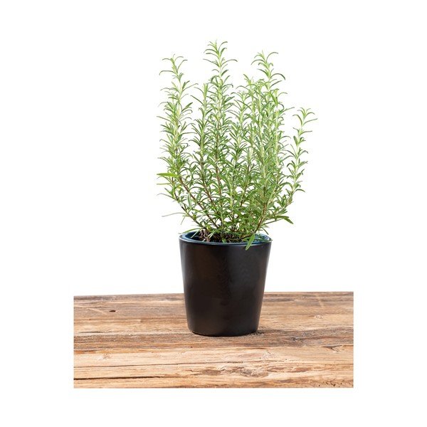 Czarna doniczka Wenko Black Outdoor Kitchen Kuro, ø 13 cm-image-4