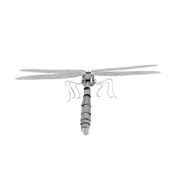 Model Dragonfly-image-2