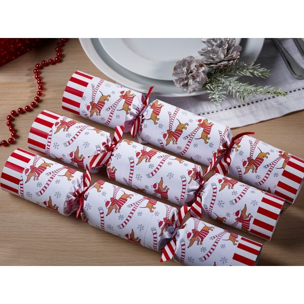 Crackery świąteczne zestaw 6 szt. Racing Sausage Dog – Robin Reed-image-1