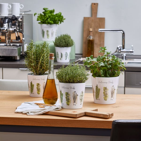 Doniczki ceramiczne do ziół zestaw 2 szt. ø 14 cm Dalllas Culinary – Big pots-image-2