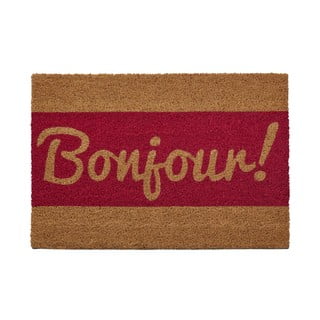 Wycieraczka z naturalnego włókna kokosowego Premier Housewares Bonjour, 40x60 cm
