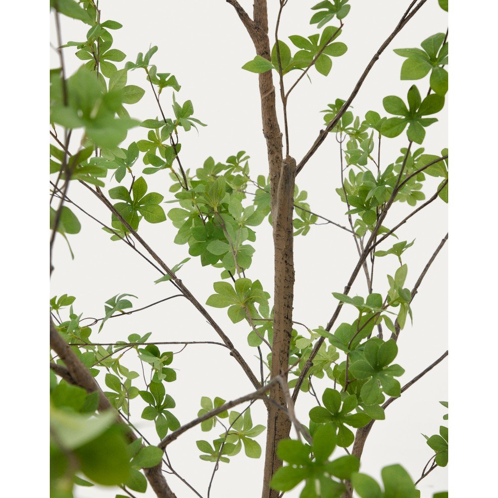 Sztuczna roślina (wysokość 214 cm) Enkianthus – Kave Home (zdjęcie 7)