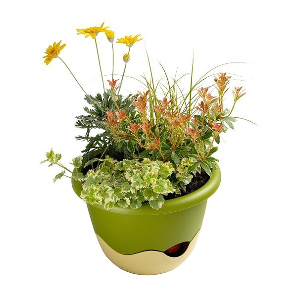 Zielono-biała doniczka z systemem nawadniania do zawieszenia Plastia Mareta, dł. 25 cm-image-2
