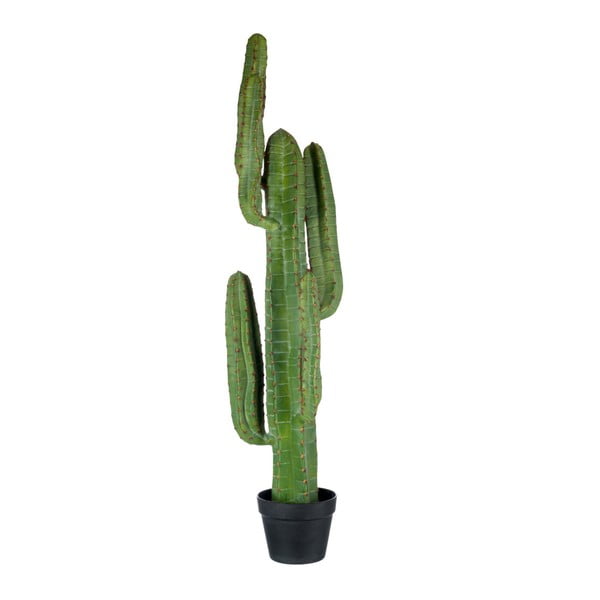 Roślina dekoracyjna J-Line Cactus, wysokość 114 cm