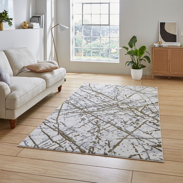 Dywan w jasnoszaro-złotym kolorze 80x150 cm Artemis – Think Rugs-image-1