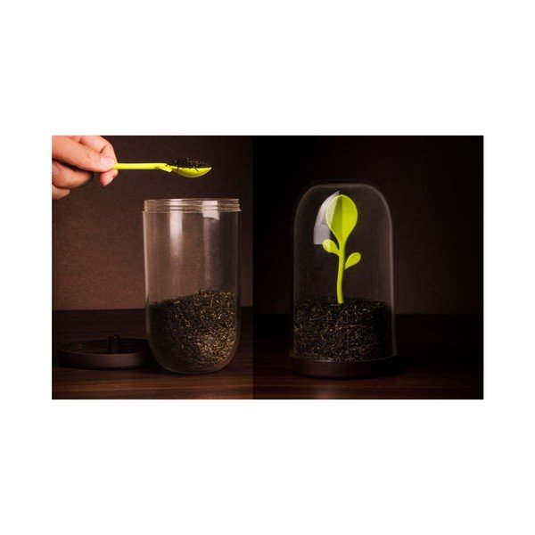 Pojemnik z łyżeczką Qualy&CO Sprout Jar-image-1