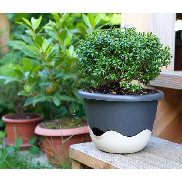 Niebiesko-biała doniczka z systemem nawadniania do zawieszenia Plastia Mareta, dł. 30 cm-image-1