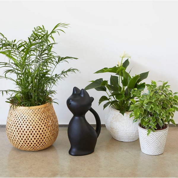 Plastikowa konewka 2 l Meow – Balvi-image-1