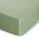 Zielone prześcieradło z perkalu z gumką 90x190 cm Easy Iron Percale – Catherine Lansfield