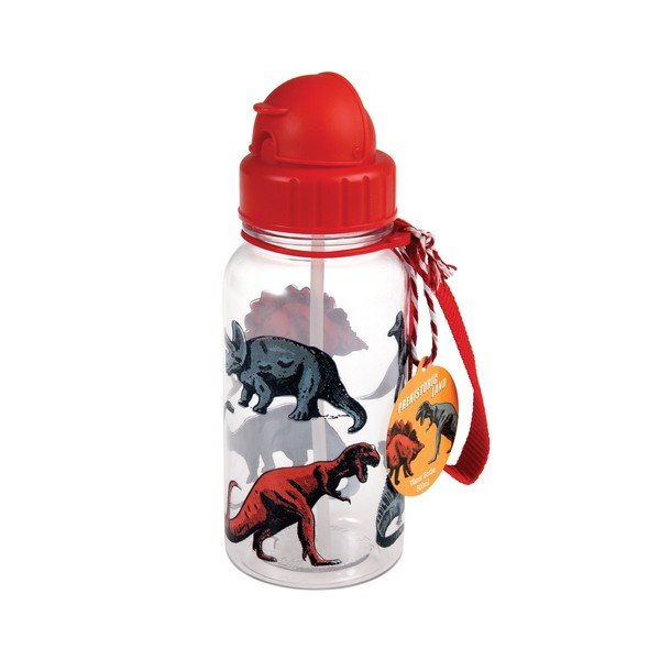 Butelka na wodę Rex London Prehistoric, 300 ml
