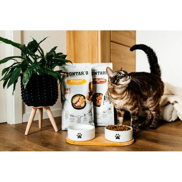 Zestaw ceramicznych misek dla psów ze stojakiem ø 13 cm Dog Fantasy – Plaček Pet Products-image-1