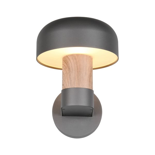 Zewnętrzna lampa ścienna (wysokość 24,5 cm) Fraser – Trio-image-3