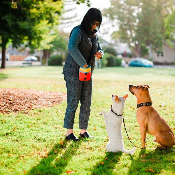 Saszetka na smaczki Deluxe Sunrise – P.L.A.Y.-image-1