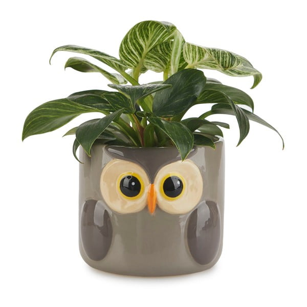 Ceramiczna doniczka ø 13,5 cm Owl – Balvi-image-2