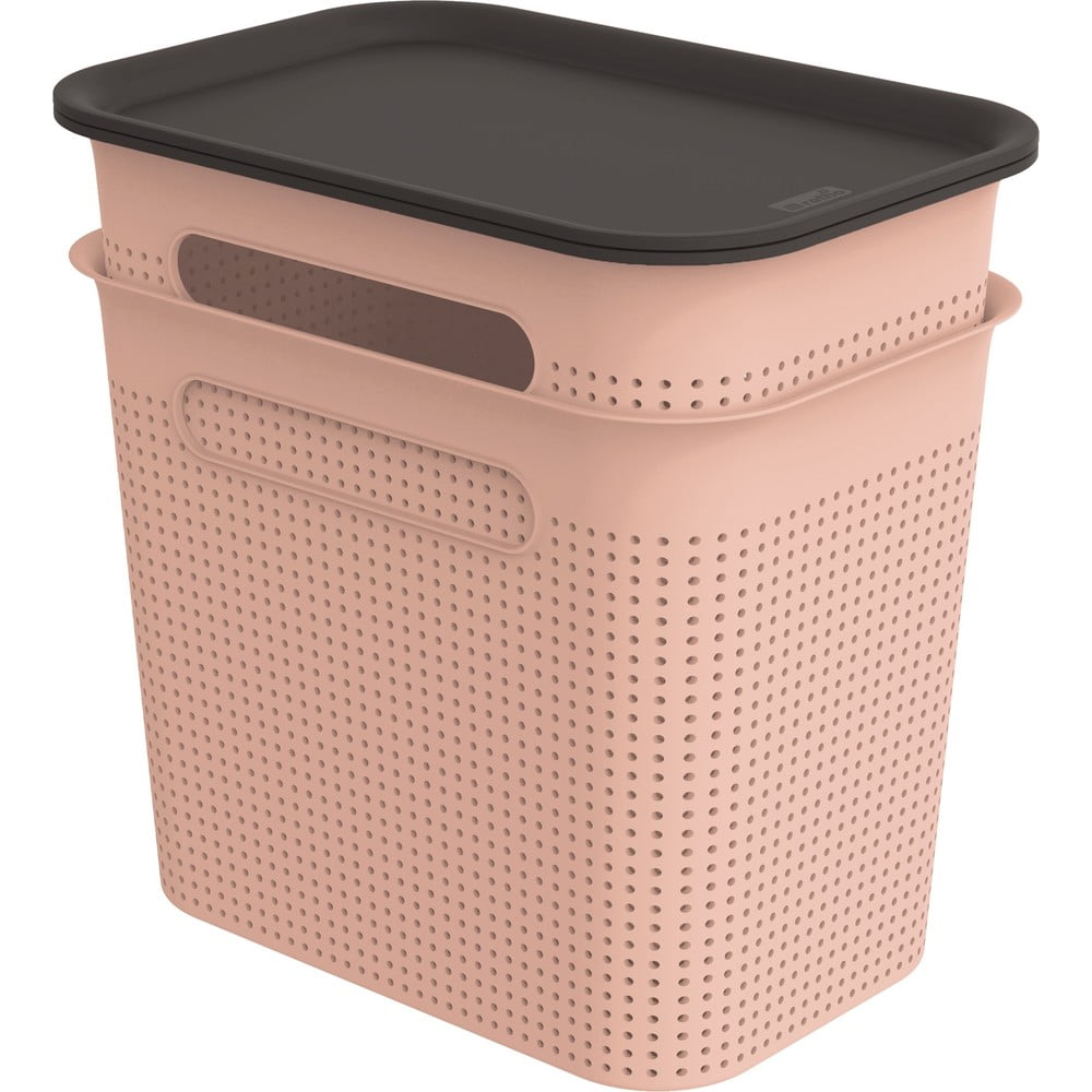 Jasnoróżowe plastikowe pojemniki z pokrywką zestaw 2 szt. 18,5x27x26 cm Brisen – Rotho