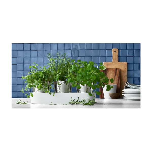 Zestaw 3 nierdzewnych doniczek do ziół WMF Gourmet-image-1