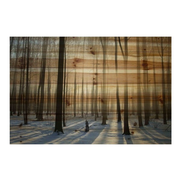 Obraz na drewnie Marmont Hill Wooden Age, 61x41 cm