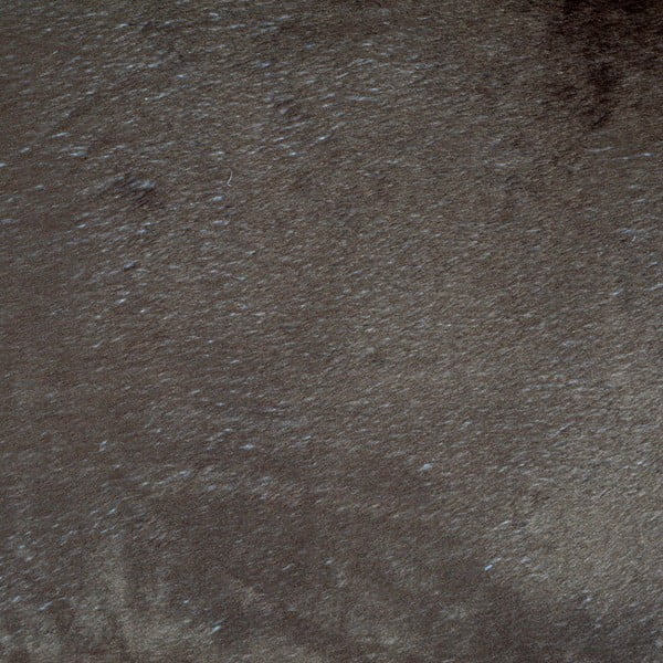 Jasnobrązowe legowisko dla psów ø 60 cm – Love Story-image-3