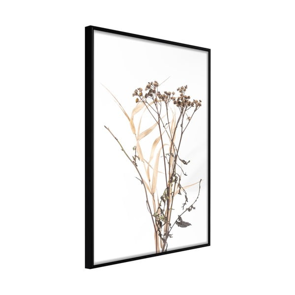 Plakat w ramie Artgeist Diary of a Herbalist, 30x45 cm