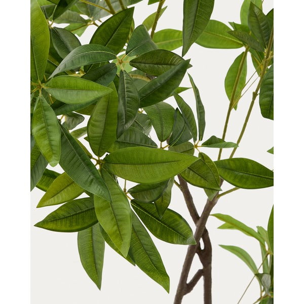 Sztuczna roślina (wysokość 180 cm) Pachira – Kave Home-image-1