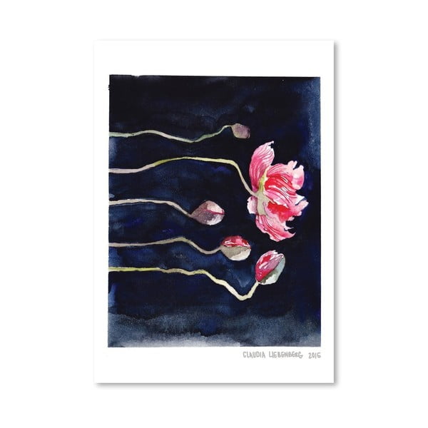 Plakat Americanflat Blooms on Black III by Claudia Libenberg, 30x42 cm