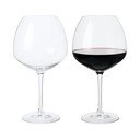 Kieliszki do wina zestaw 2 szt. 930 ml Premium – Rosendahl